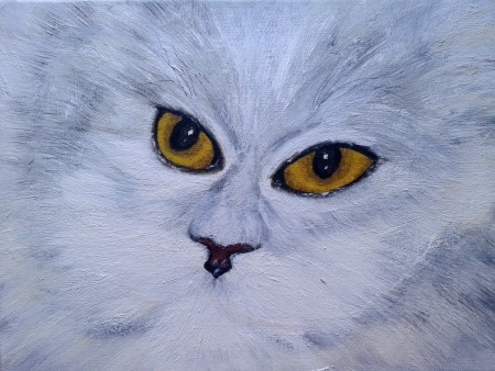 Öl auf Keilrahmen 30x40 "Katze"